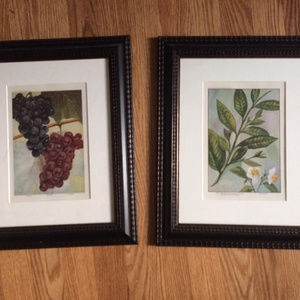 Vintage book prints 11x14